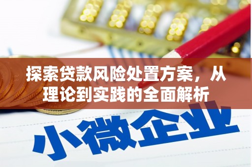 平顶山探索贷款风险处置方案，从理论到实践的全面解析