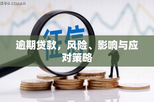 平顶山逾期贷款，风险、影响与应对策略