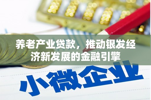 平顶山养老产业贷款，推动银发经济新发展的金融引擎