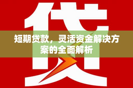 平顶山短期贷款，灵活资金解决方案的全面解析