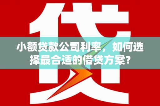平顶山小额贷款公司利率，如何选择最合适的借贷方案？