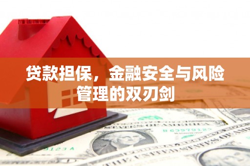 平顶山贷款担保，金融安全与风险管理的双刃剑
