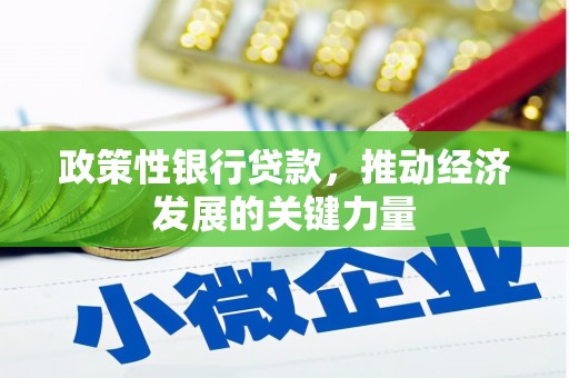 平顶山政策性银行贷款，推动经济发展的关键力量