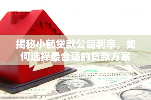 平顶山揭秘小额贷款公司利率，如何选择最合适的贷款方案