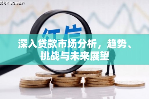 平顶山深入贷款市场分析，趋势、挑战与未来展望