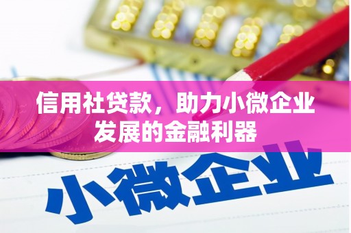 平顶山信用社贷款，助力小微企业发展的金融利器