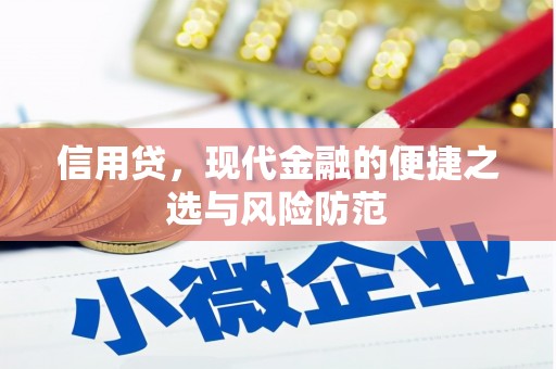平顶山信用贷，现代金融的便捷之选与风险防范