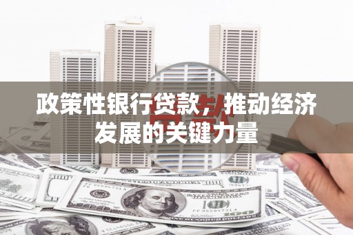 平顶山政策性银行贷款，推动经济发展的关键力量