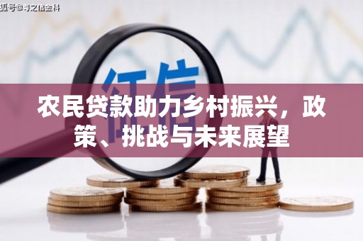 平顶山农民贷款助力乡村振兴，政策、挑战与未来展望