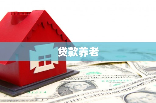 平顶山贷款养老