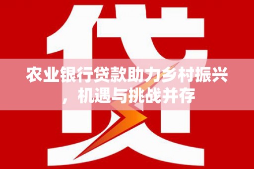 平顶山农业银行贷款助力乡村振兴，机遇与挑战并存