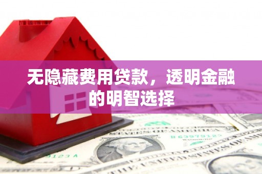平顶山无隐藏费用贷款，透明金融的明智选择