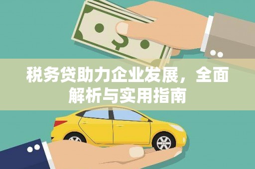 平顶山税务贷助力企业发展，全面解析与实用指南