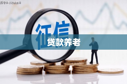 平顶山贷款养老