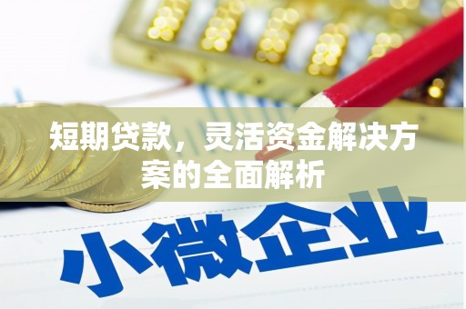 平顶山短期贷款，灵活资金解决方案的全面解析