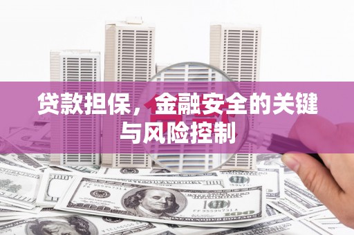 平顶山贷款担保，金融安全的关键与风险控制