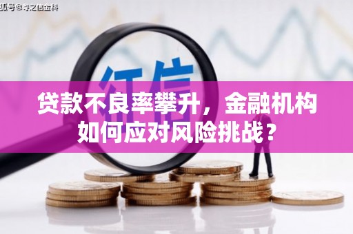 平顶山贷款不良率攀升，金融机构如何应对风险挑战？