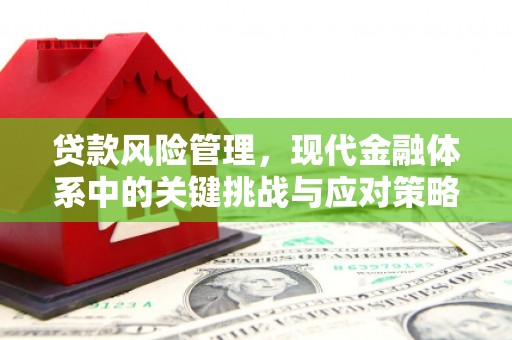 平顶山贷款风险管理，现代金融体系中的关键挑战与应对策略