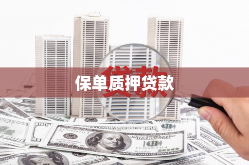 平顶山保单质押贷款