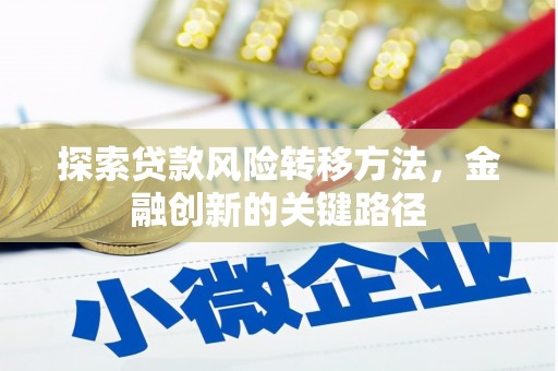 平顶山探索贷款风险转移方法，金融创新的关键路径