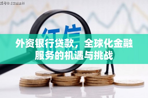 平顶山外资银行贷款，全球化金融服务的机遇与挑战