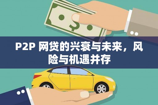 平顶山P2P 网贷的兴衰与未来，风险与机遇并存