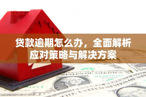 平顶山贷款逾期怎么办，全面解析应对策略与解决方案