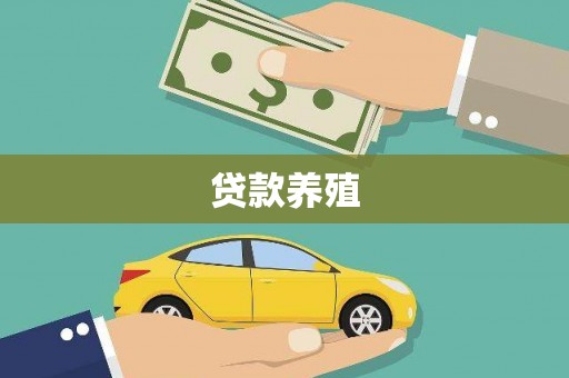 平顶山贷款养殖