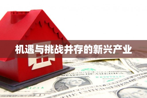 平顶山机遇与挑战并存的新兴产业