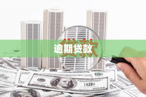 平顶山逾期贷款