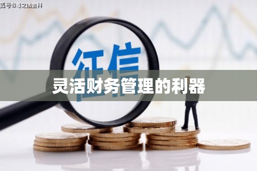 平顶山灵活财务管理的利器