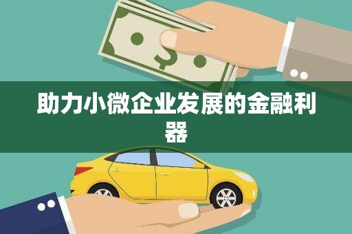 平顶山助力小微企业发展的金融利器