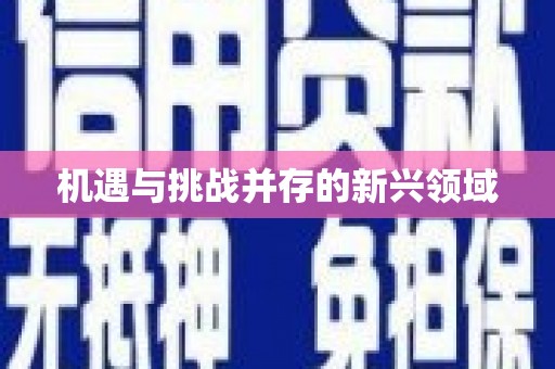 平顶山机遇与挑战并存的新兴领域