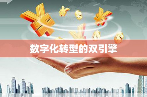 平顶山数字化转型的双引擎