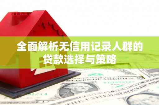 平顶山全面解析无信用记录人群的贷款选择与策略