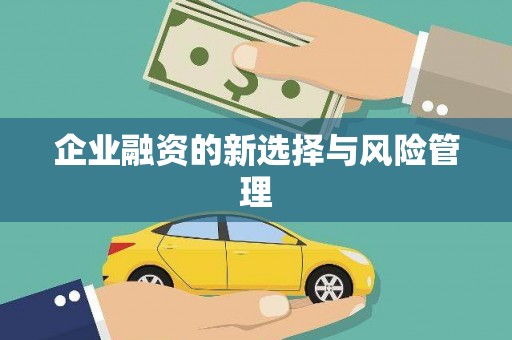 平顶山企业融资的新选择与风险管理