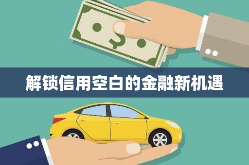 平顶山解锁信用空白的金融新机遇