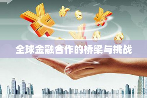 平顶山全球金融合作的桥梁与挑战