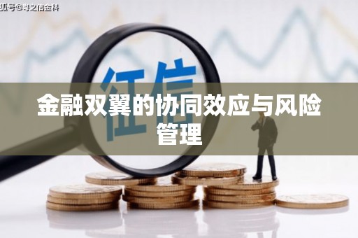 平顶山金融双翼的协同效应与风险管理