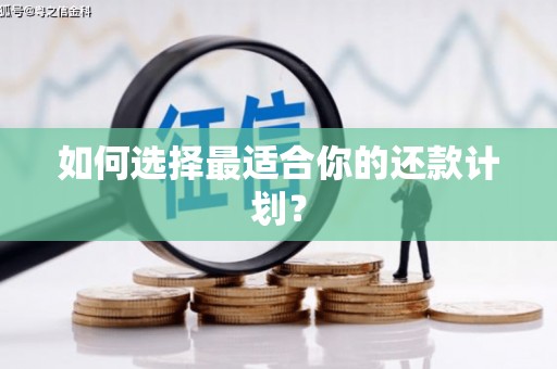 平顶山如何选择最适合你的还款计划？