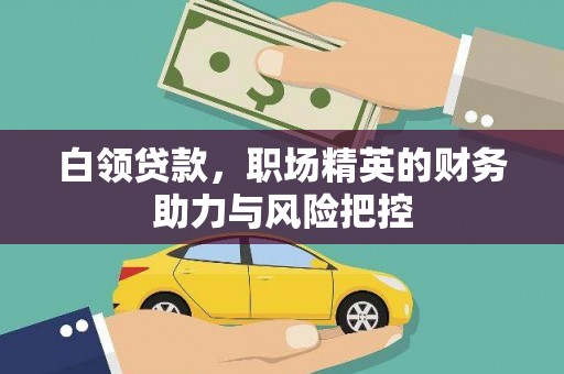 平顶山白领贷款，职场精英的财务助力与风险把控